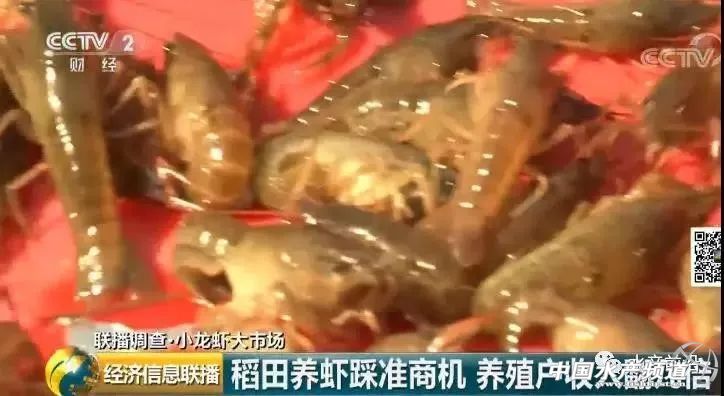 �����r���q��70Ԫ/�����q�����_60%��2000�|��С���r�I(y��)���nƱ����C���Y�����񔇾֡������Եء�