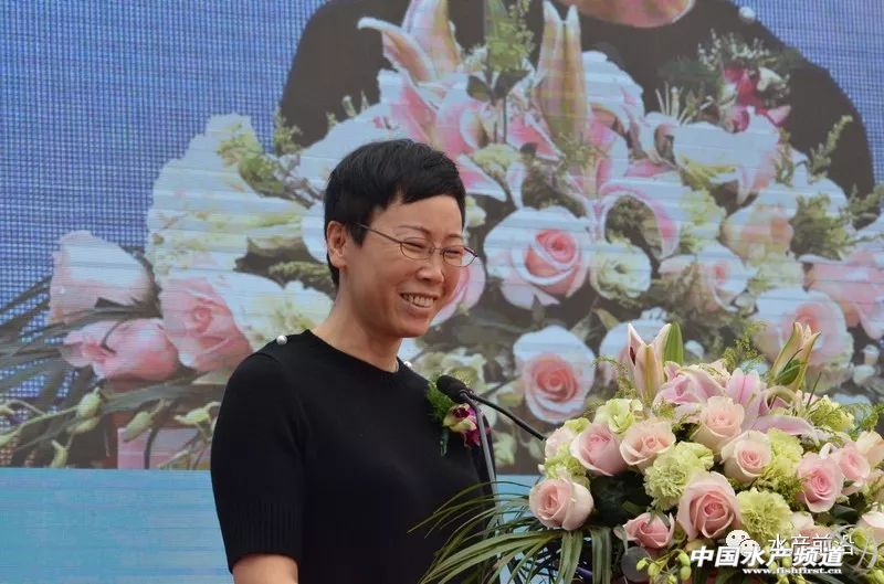 ���Ǿޟo(w��)�ԣ���ȫ�����a(ch��n)�˳�2�|���������(l��i)�Ї�(gu��)30������������������һ������