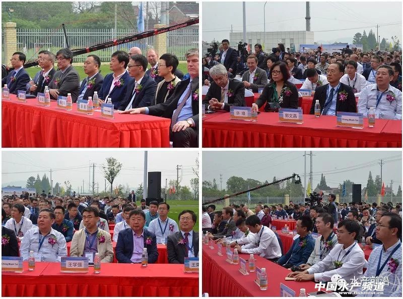 ���Ǿޟo(w��)�ԣ���ȫ�����a(ch��n)�˳�2�|���������(l��i)�Ї�(gu��)30���꣬������������һ������