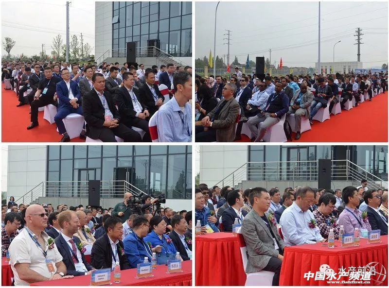 ���Ǿޟo(w��)�ԣ���ȫ�����a(ch��n)�˳�2�|���������(l��i)�Ї�(gu��)30���꣬������������һ������