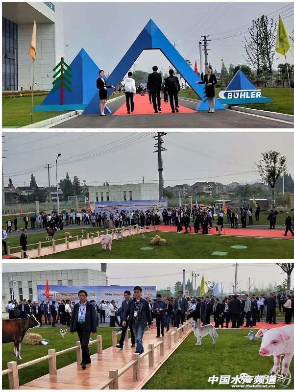 ���Ǿޟo(w��)������ȫ�����a(ch��n)�˳�2�|���������(l��i)�Ї�(gu��)30������������������һ������