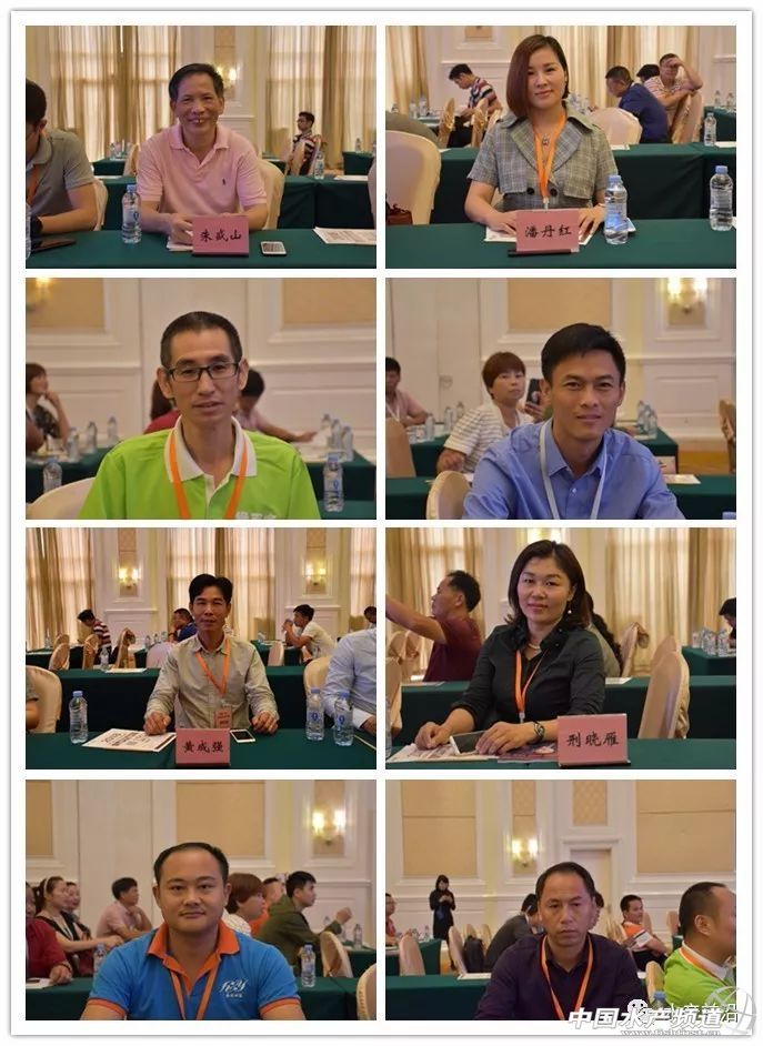 �r���������������B(y��ng)ֳϵ�y(t��ng)��������˵��B(y��ng)ֳ���@Щ���}���̎����