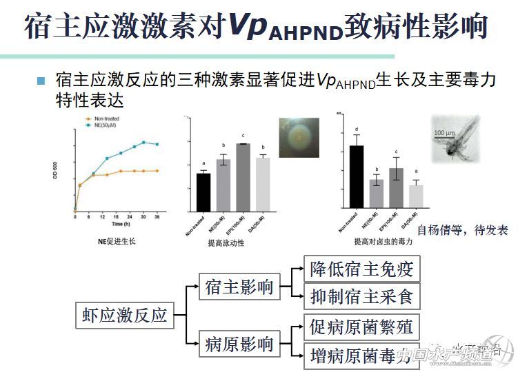 �r���������������B(y��ng)ֳϵ�y(t��ng)��������˵��B(y��ng)ֳ���@Щ���}���̎����