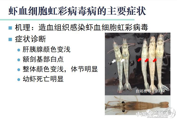 �r�硢�����������B(y��ng)ֳϵ�y(t��ng)��������˵��B(y��ng)ֳ���@Щ���}���̎����