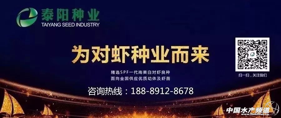 �r���������������B(y��ng)ֳϵ�y(t��ng)��������˵��B(y��ng)ֳ���@Щ���}���̎����