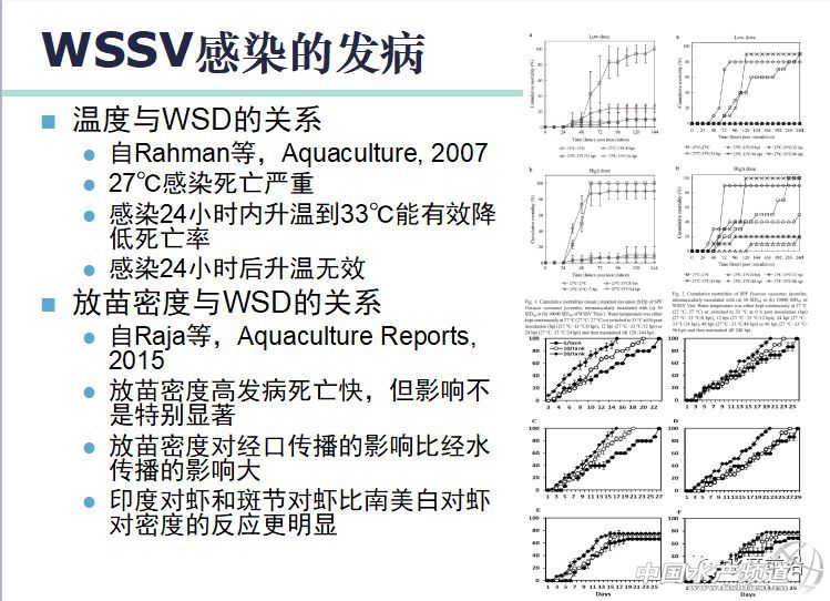 �r���������������B(y��ng)ֳϵ�y(t��ng)��������˵��B(y��ng)ֳ���@Щ���}���̎����