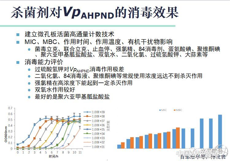 �r���������������B(y��ng)ֳϵ�y(t��ng)��������˵��B(y��ng)ֳ���@Щ���}���̎����