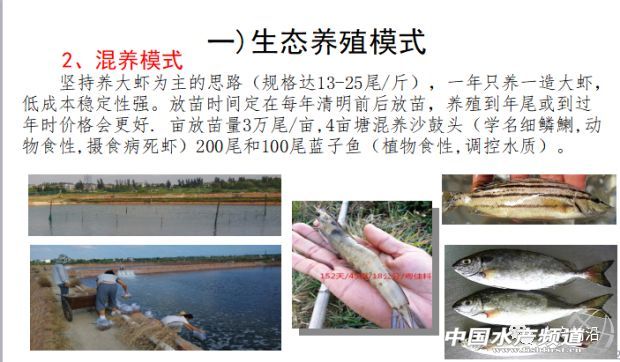 �r���������������B(y��ng)ֳϵ�y(t��ng)��������˵��B(y��ng)ֳ���@Щ���}���̎����