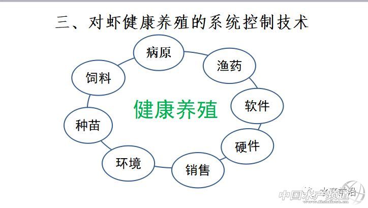 �r���������������B(y��ng)ֳϵ�y(t��ng)��������˵��B(y��ng)ֳ���@Щ���}���̎����