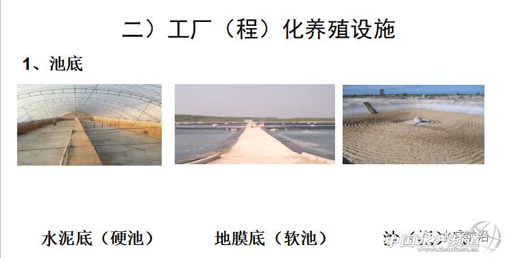 �r�硢�����������B(y��ng)ֳϵ�y(t��ng)��������˵��B(y��ng)ֳ���@Щ���}���̎����