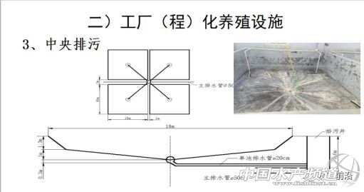 �r���������������B(y��ng)ֳϵ�y(t��ng)��������˵��B(y��ng)ֳ���@Щ���}���̎����