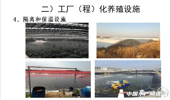 �r���������������B(y��ng)ֳϵ�y(t��ng)��������˵��B(y��ng)ֳ���@Щ���}���̎����