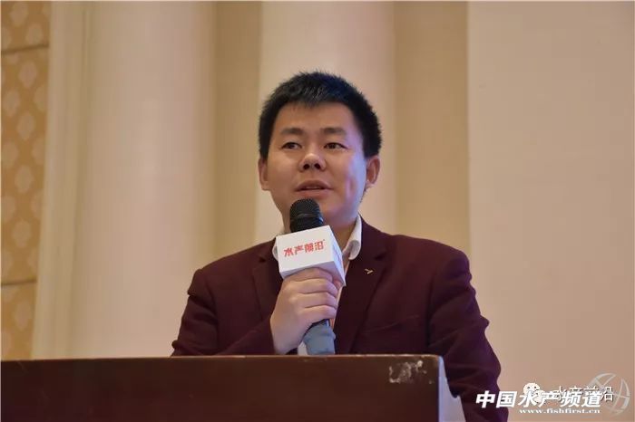 �r���������������B(y��ng)ֳϵ�y(t��ng)��������˵��B(y��ng)ֳ���@Щ���}���̎����