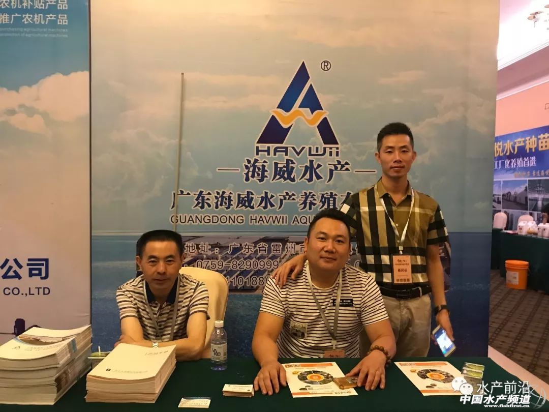 �r���������������B(y��ng)ֳϵ�y(t��ng)��������˵��B(y��ng)ֳ���@Щ���}���̎����