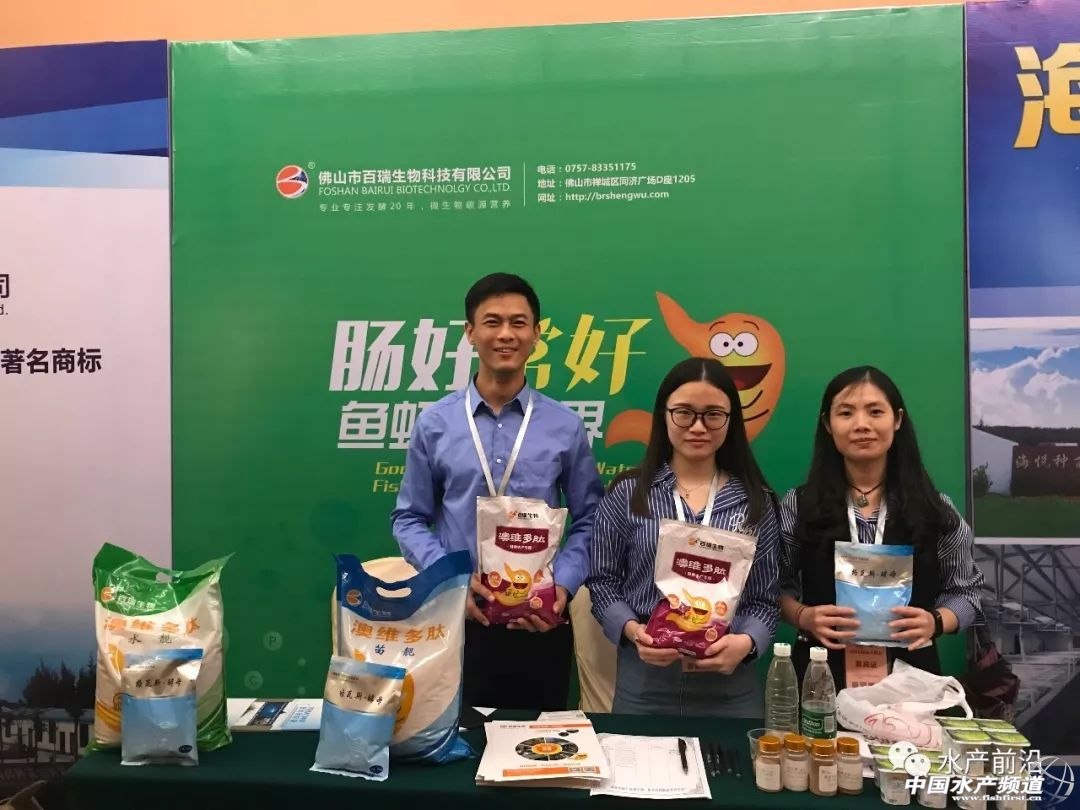 �r���������������B(y��ng)ֳϵ�y(t��ng)��������˵��B(y��ng)ֳ���@Щ���}���̎����