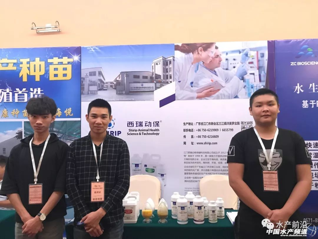 �r���������������B(y��ng)ֳϵ�y(t��ng)��������˵��B(y��ng)ֳ���@Щ���}���̎����