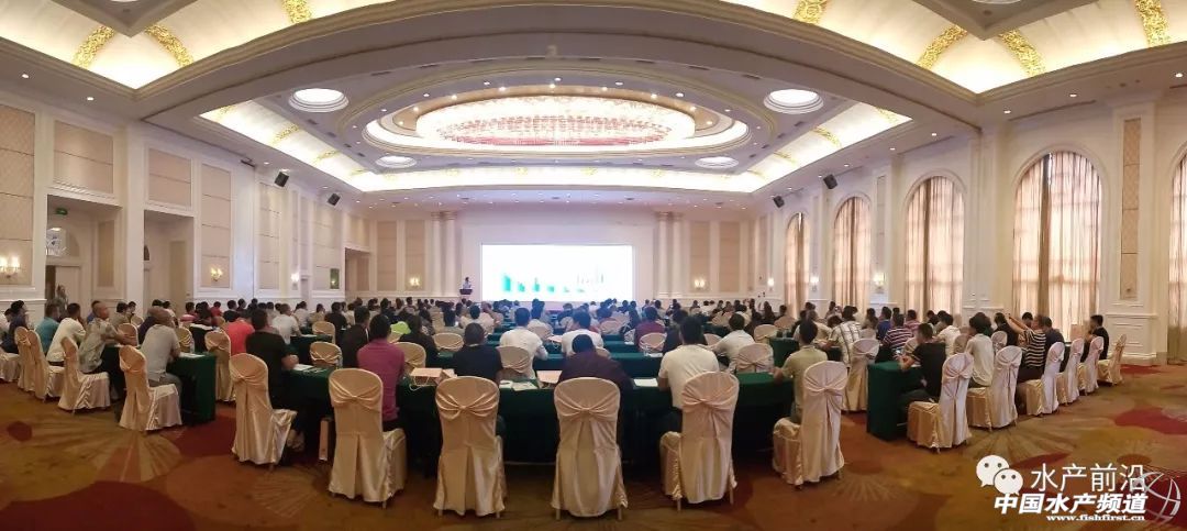 �r���������������B(y��ng)ֳϵ�y(t��ng)��������˵��B(y��ng)ֳ���@Щ���}���̎����