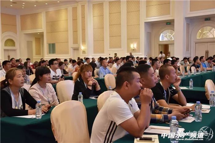 �r���������������B(y��ng)ֳϵ�y(t��ng)��������˵��B(y��ng)ֳ���@Щ���}���̎����