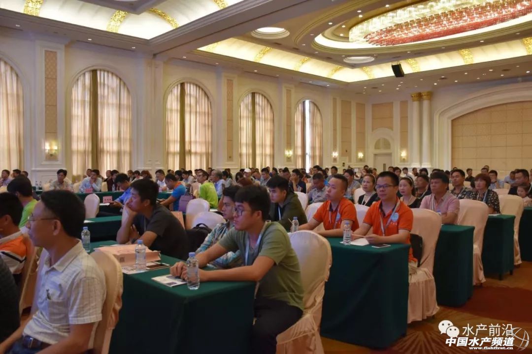 �r�硢�����������B(y��ng)ֳϵ�y(t��ng)��������˵��B(y��ng)ֳ���@Щ���}���̎����