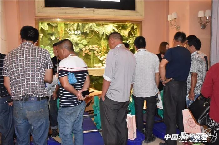 �r�硢�����������B(y��ng)ֳϵ�y(t��ng)��������˵��B(y��ng)ֳ���@Щ���}���̎����