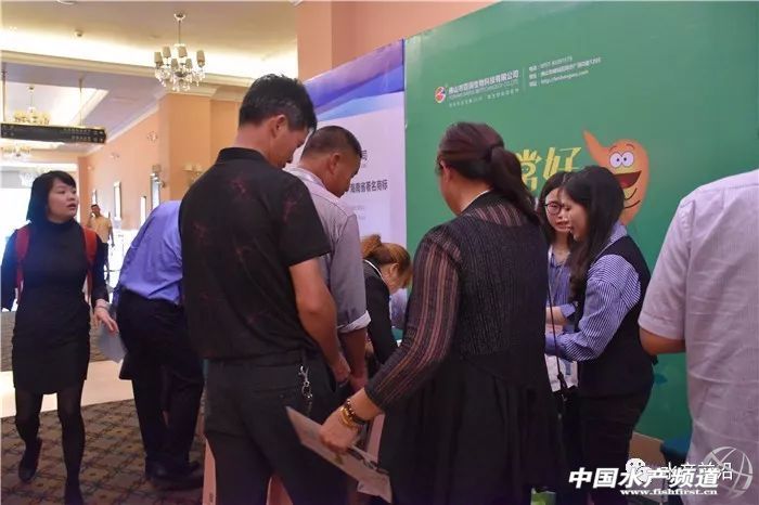 �r���������������B(y��ng)ֳϵ�y(t��ng)��������˵��B(y��ng)ֳ���@Щ���}���̎����