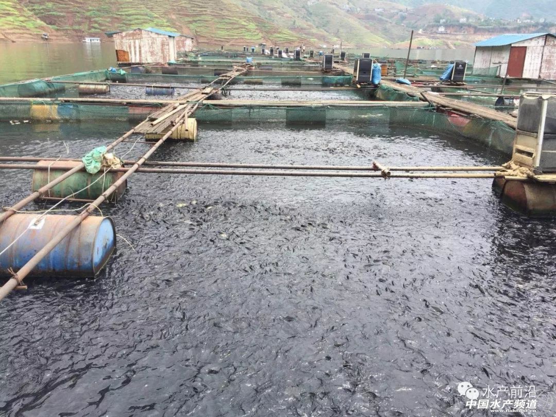 �|���~�����������~�r(ji��)15Ԫ������2.5Ԫ/�����F�ݞ������齭����ˮ���W(w��ng)�����(n��i)ȫȡ�����B(y��ng)���������L(zh��ng)3��(g��)������t���ǜ��֮��(z��i)