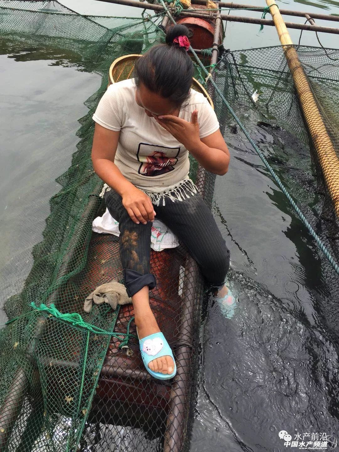 �|���~�����������~�r(ji��)15Ԫ������2.5Ԫ/�����F�ݞ������齭����ˮ���W(w��ng)�����(n��i)ȫȡ�����B(y��ng)���������L(zh��ng)3��(g��)������t���ǜ��֮��(z��i)