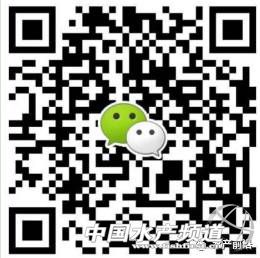 ���Ⱪ�����V�|�Z�~�ٵ�2Ԫ/�������յ�4Ԫ/������ʡ�Z�~�r���»�