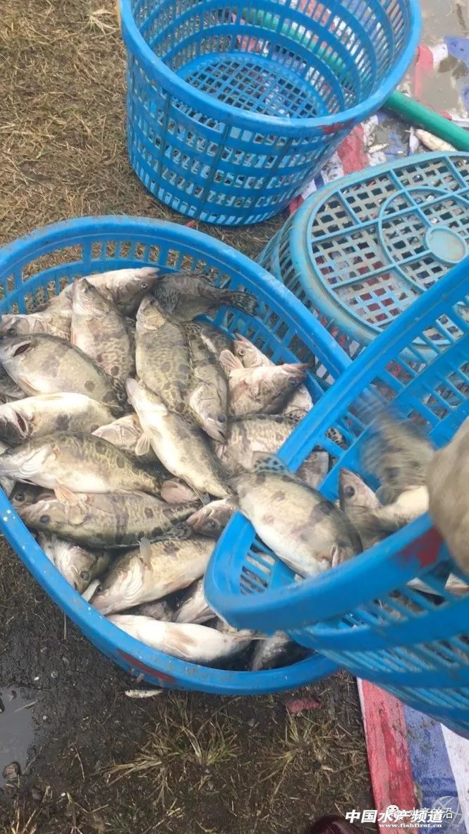 ���Ⱪ�����V�|�Z�~�ٵ�2Ԫ/�������յ�4Ԫ/������ʡ�Z�~�r���»�