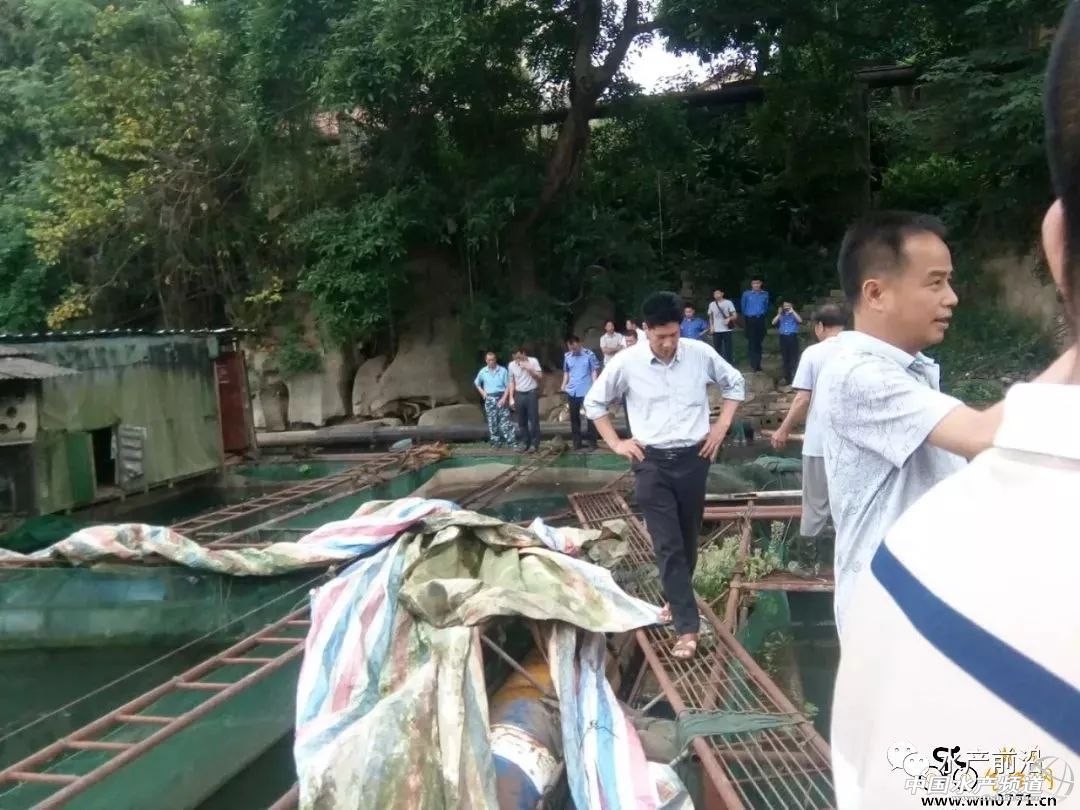 �~�r�ش�q���F�����V����ش�Ҏ(gu��)ģ���W(w��ng)�����ό����F������ɫ�f������Ў�ǧ�f���~�o������