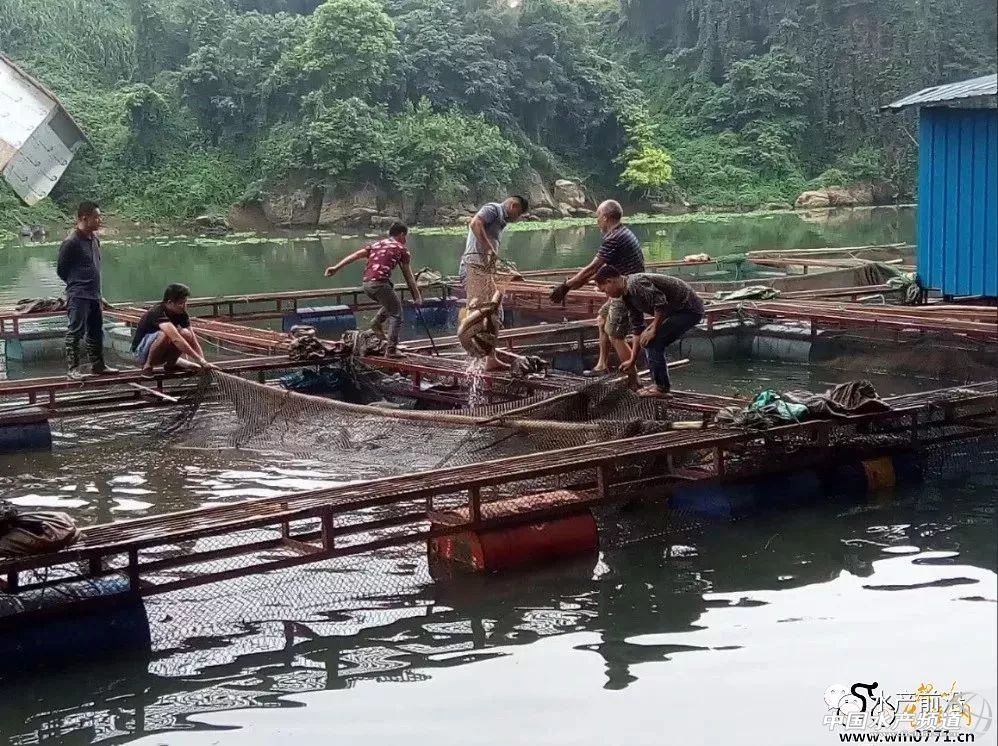 �~�r�ش�q���F�ݡ��V����ش�Ҏ(gu��)ģ���W(w��ng)�����ό����F������ɫ�f������Ў�ǧ�f���~�o������