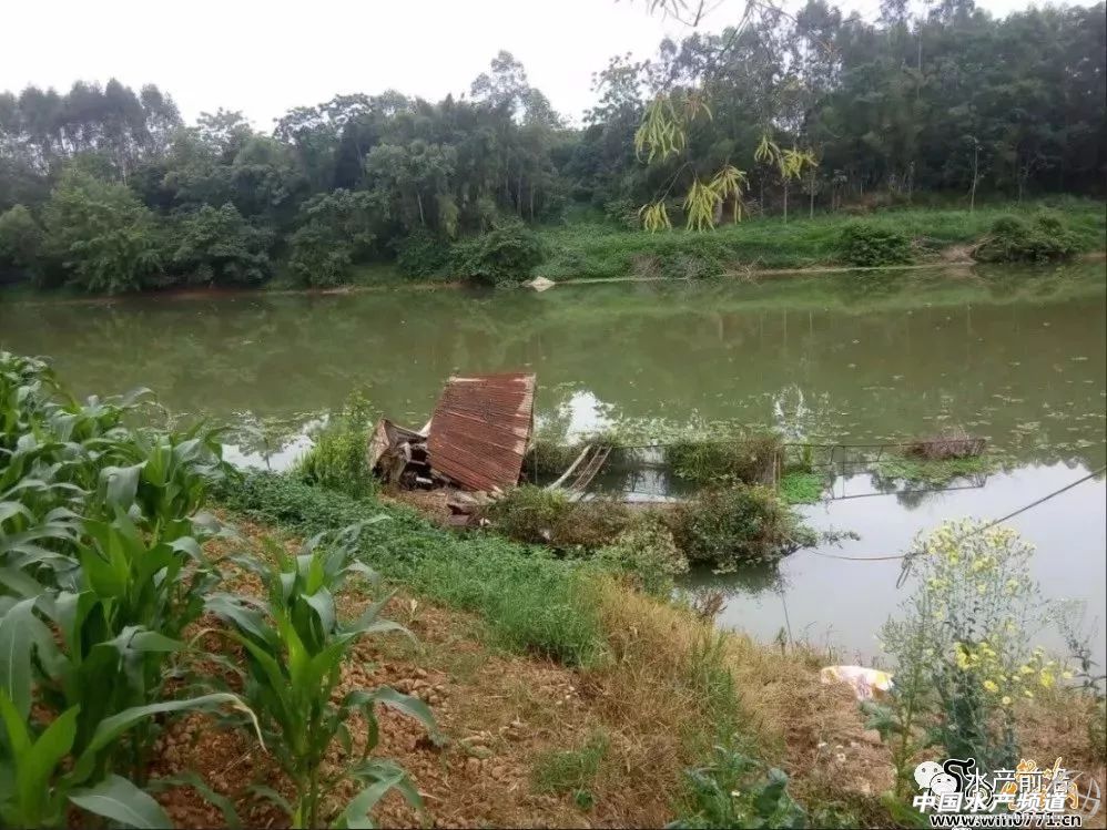 �~�r�ش�q���F�����V����ش�Ҏ(gu��)ģ���W(w��ng)�����ό����F������ɫ�f������Ў�ǧ�f���~�o������