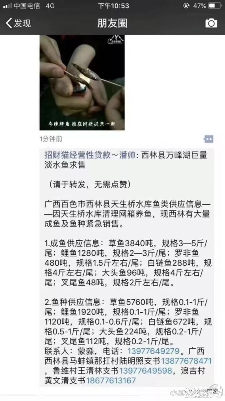 �~�r�ش�q���F�����V����ش�Ҏ(gu��)ģ���W(w��ng)�����ό����F�ۡ���ɫ�f������Ў�ǧ�f���~�o������