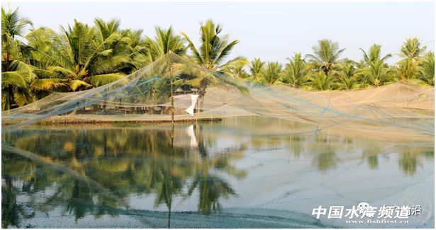 ������ȫ���r�r(ji��)�ӽ��vʷ��λ���Ї�(gu��)���y��һ�١������װl(f��)����ʲô��