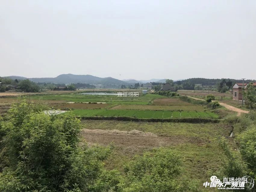 if(/(iPhone|iPad|iPod|iOS)/i.test(navigator.userAgent)){document.write(