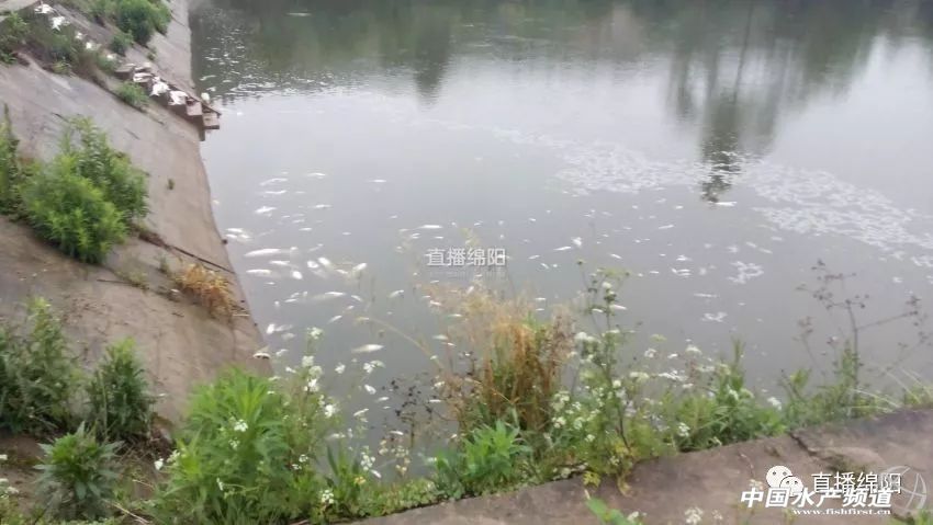 if(/(iPhone|iPad|iPod|iOS)/i.test(navigator.userAgent)){document.write(