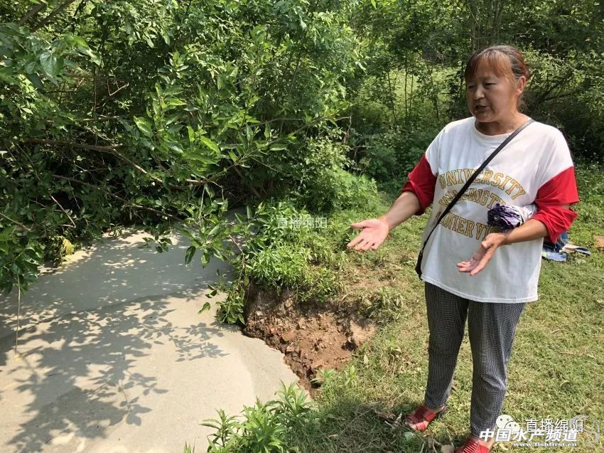 if(/(iPhone|iPad|iPod|iOS)/i.test(navigator.userAgent)){document.write(