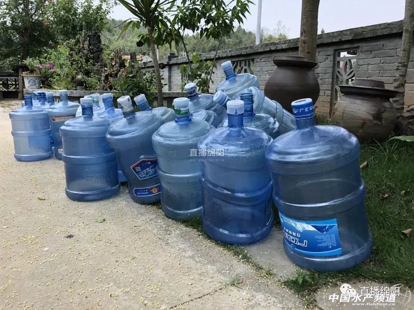 if(/(iPhone|iPad|iPod|iOS)/i.test(navigator.userAgent)){document.write(