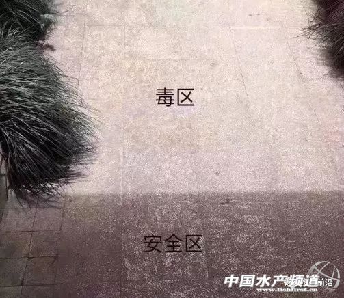 �@�����������L(f��ng)��͵�u�~��������(z��i)������V�|����7��(g��)�_(t��i)�L(f��ng)�u��������8��(g��)���V��6��(g��)������8��(g��)���㽭5��(g��)...