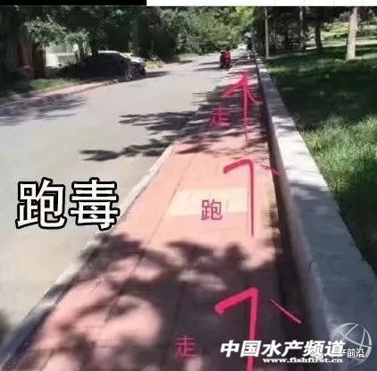 �@�꣡�������L(f��ng)��͵�u�~��������(z��i)������V�|����7��(g��)�_(t��i)�L(f��ng)�u��������8��(g��)���V��6��(g��)������8��(g��)���㽭5��(g��)...