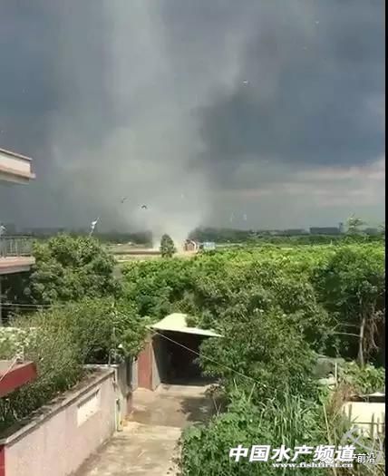 �@�����������L(f��ng)��͵�u�~��������(z��i)������V�|����7��(g��)�_(t��i)�L(f��ng)�u��������8��(g��)���V��6��(g��)������8��(g��)���㽭5��(g��)...