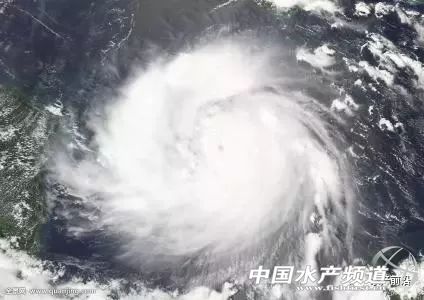 �@�����������L(f��ng)��͵�u�~��������(z��i)������V�|����7��(g��)�_(t��i)�L(f��ng)�u��������8��(g��)���V��6��(g��)������8��(g��)���㽭5��(g��)...