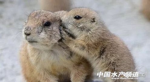 �@�����������L(f��ng)��͵�u�~��������(z��i)������V�|����7��(g��)�_(t��i)�L(f��ng)�u��������8��(g��)���V��6��(g��)������8��(g��)���㽭5��(g��)...