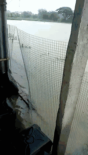 ˮ�a(ch��n)�B(y��ng)ֳ��ͦס����������ٶȿ�Ű�A�ϣ��V�|����؞ą^(q��)��