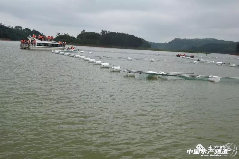 ���e(cu��)��P���@Щ�˯��񓌽��W(w��ng)�����̶�ʮ������10�fƽ�����Y(ji��)������