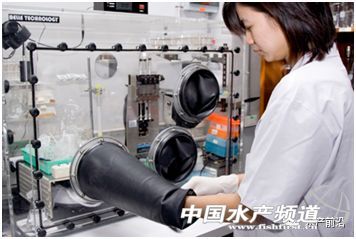 ȫ��֪���r������T.W.Flegel��EHP�ױ��`�\��Ҳ����������Ҫ�e�����r��