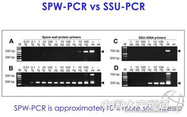 ȫ��֪���r������T.W.Flegel��EHP�ױ��`�\��Ҳ�����£���Ҫ�e�����r��