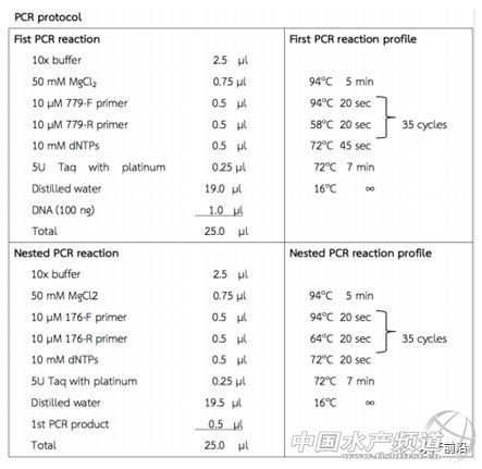ȫ��֪���r������T.W.Flegel��EHP�ױ��`�\��Ҳ����������Ҫ�e�����r��