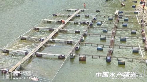 �Ĵ��Ї��ٟo�W(w��ng)���B(y��ng)�~�����������������F�ݡ��Ĵ����V��...ȫ���������������ҵĆ���