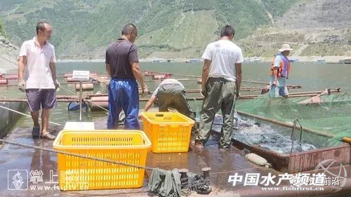 �Ĵ��Ї��ٟo�W(w��ng)���B(y��ng)�~�����������������F�����Ĵ����V��...ȫ���������������ҵĆ᣿